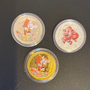 Colorful Pig Design Coins